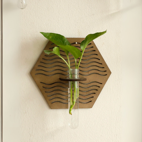 Forma Wall Vases
