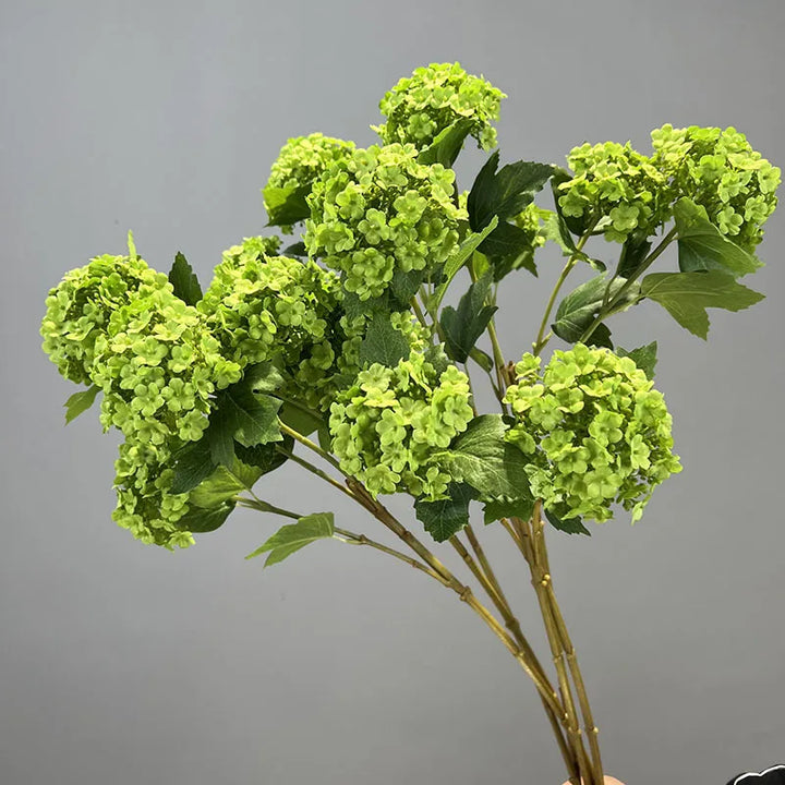 Viburnum Snowball Spray