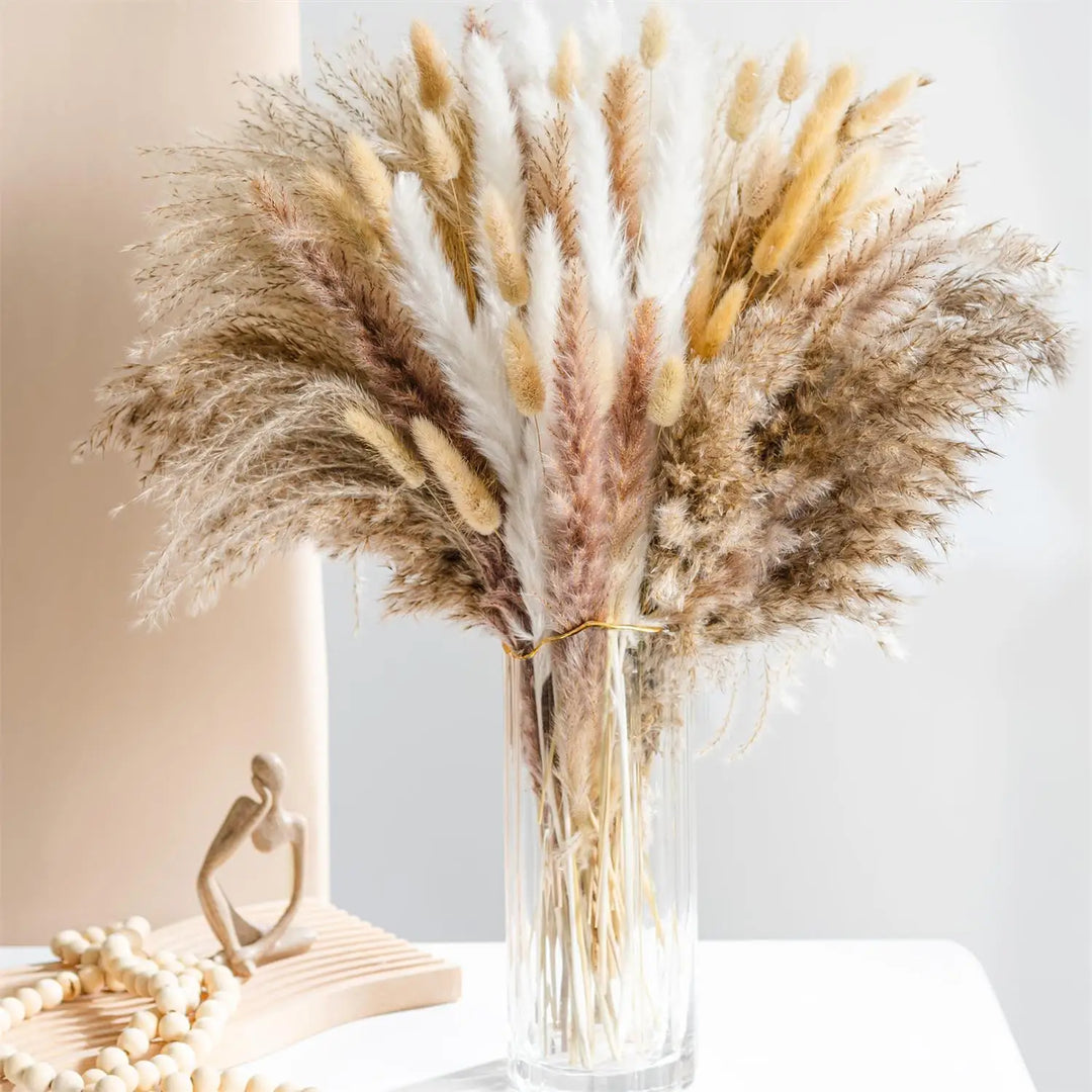 Bunny Tail Pampas Bundle