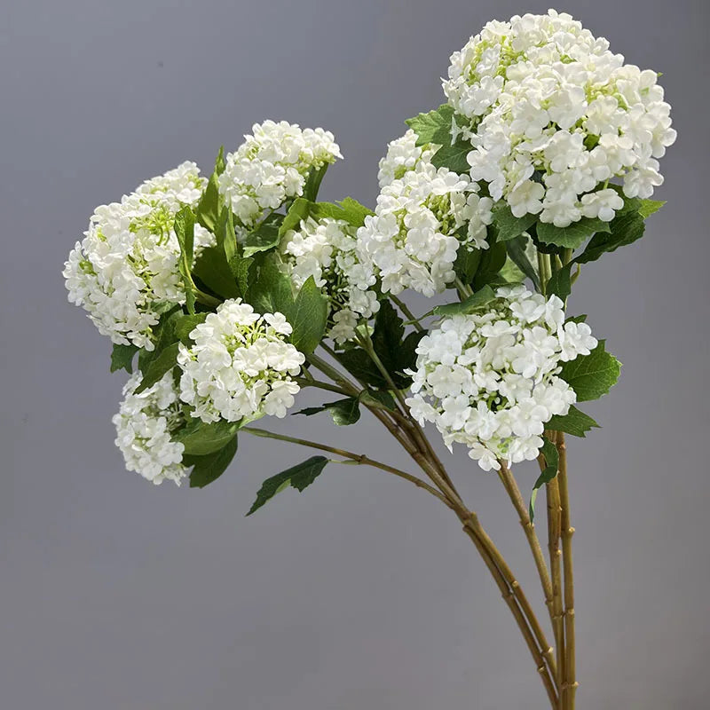 Viburnum Snowball Spray