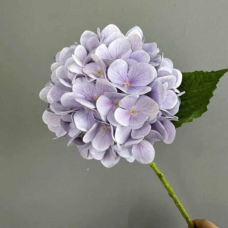 Touch Hydrangea Stem