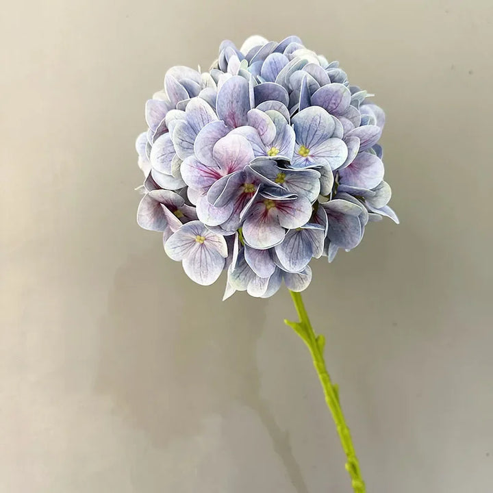 Touch Hydrangea Stem