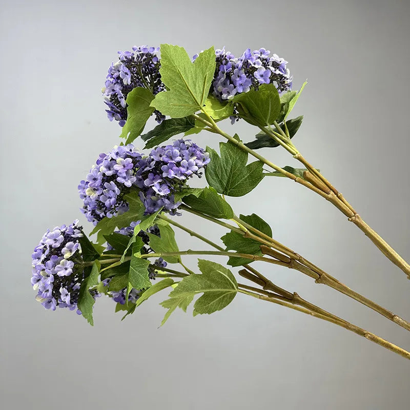 Viburnum Snowball Spray