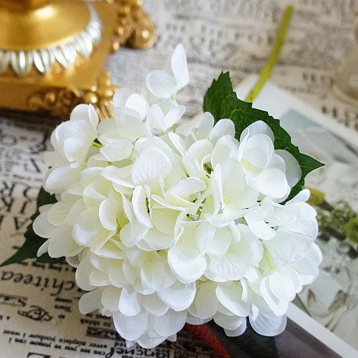 Silk Hydrangea