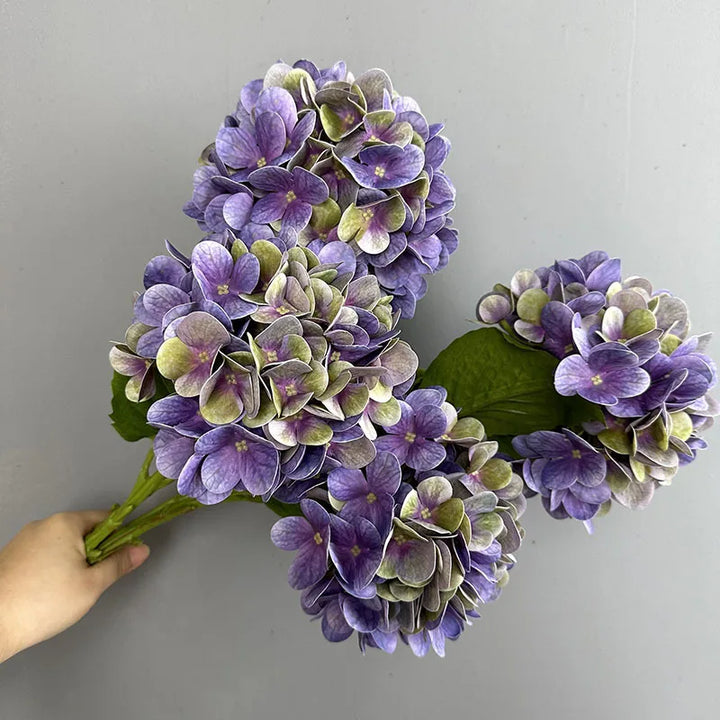 Touch Hydrangea Stem