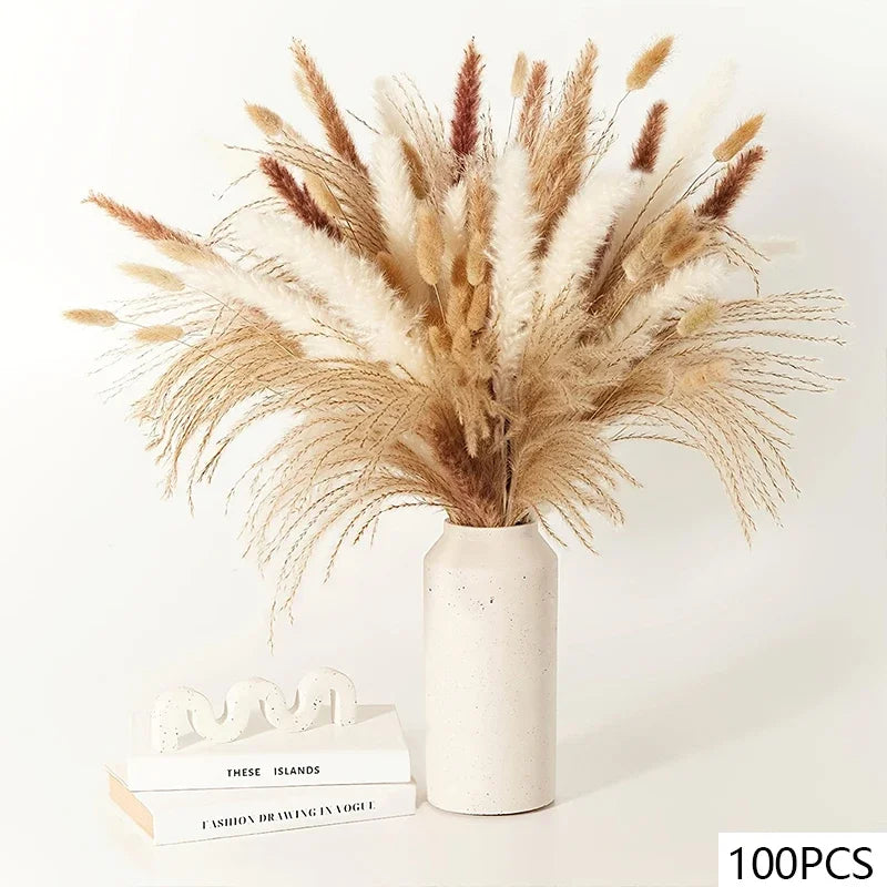 Bunny Tail Pampas Bundle