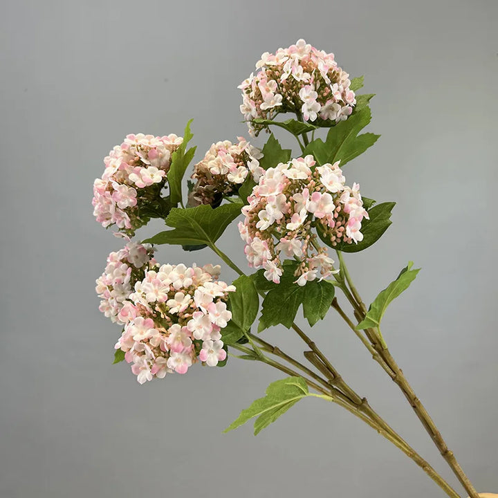 Viburnum Snowball Spray