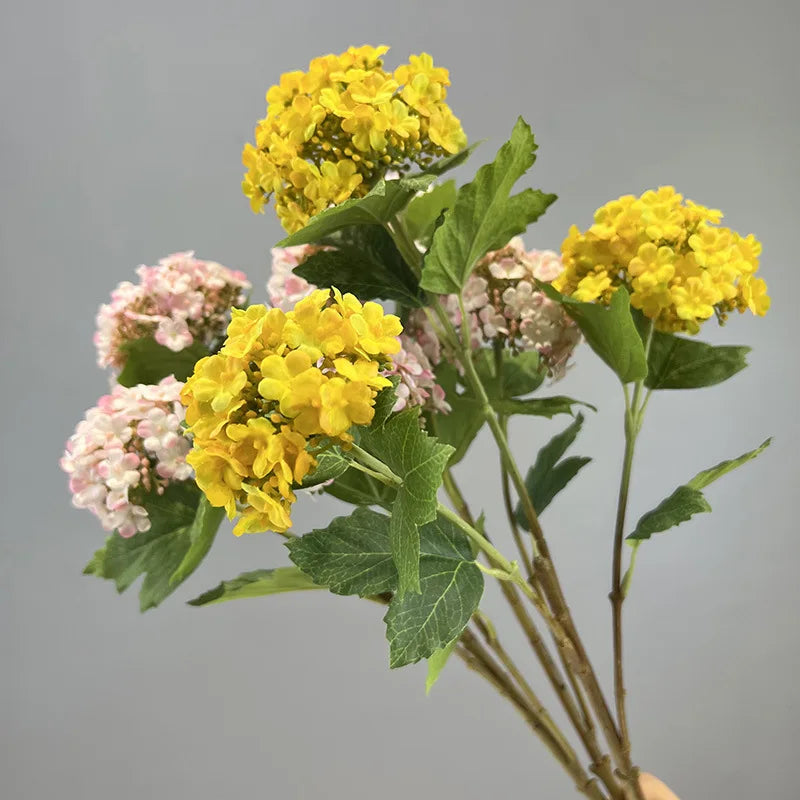 Viburnum Snowball Spray