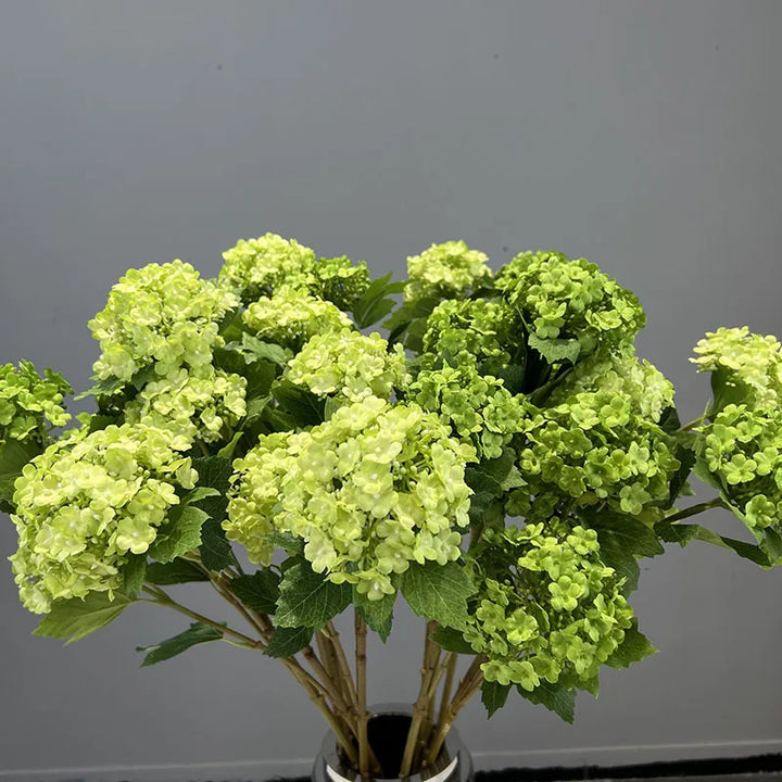 Viburnum Snowball Spray