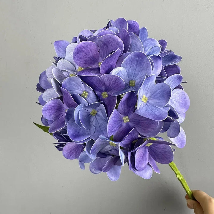 Touch Hydrangea Stem