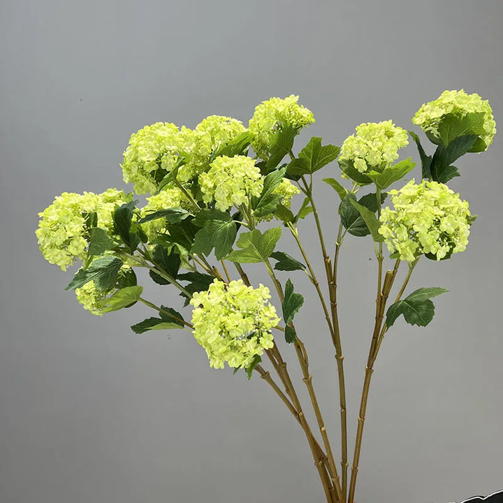 Viburnum Snowball Spray