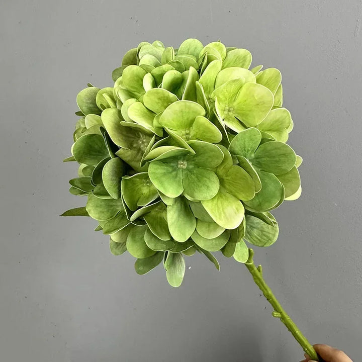 Touch Hydrangea Stem