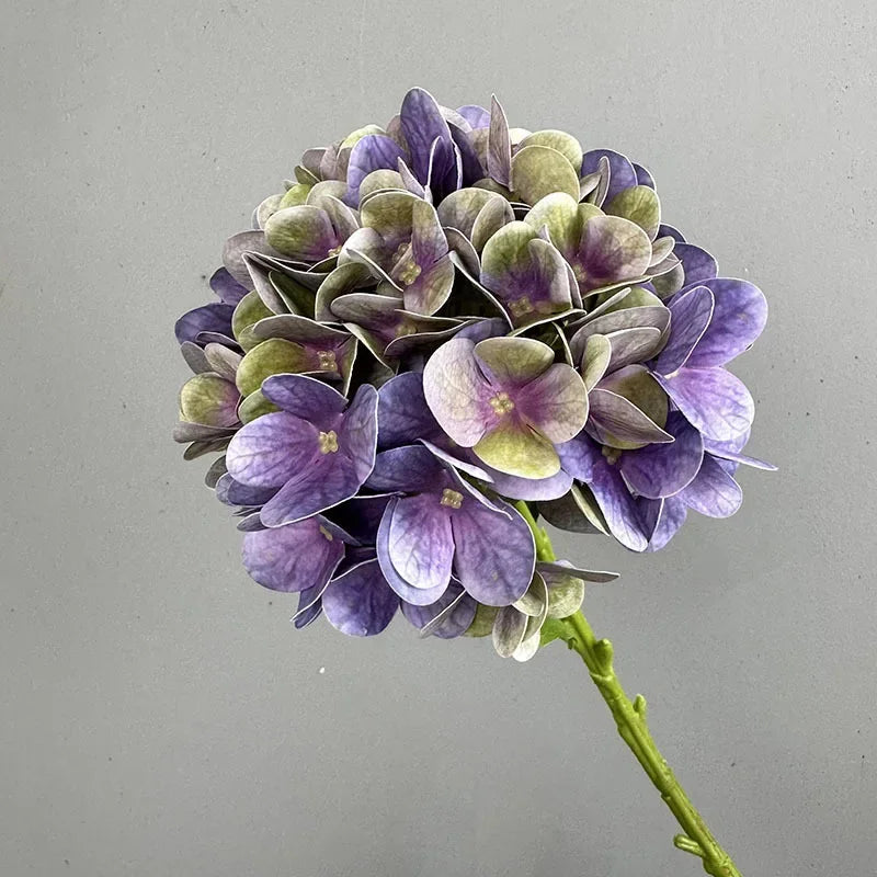 Touch Hydrangea Stem