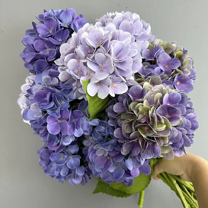 Touch Hydrangea Stem