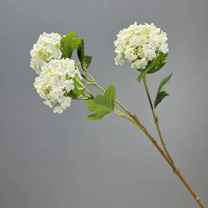 Viburnum Snowball Spray