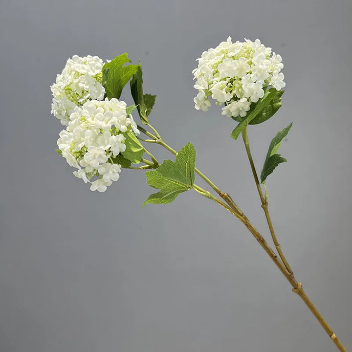 Viburnum Snowball Spray