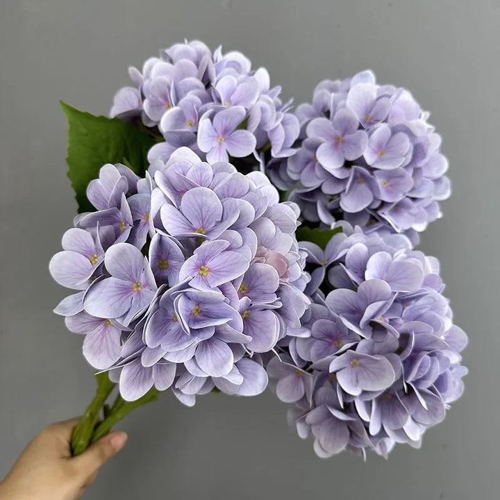 Touch Hydrangea Stem