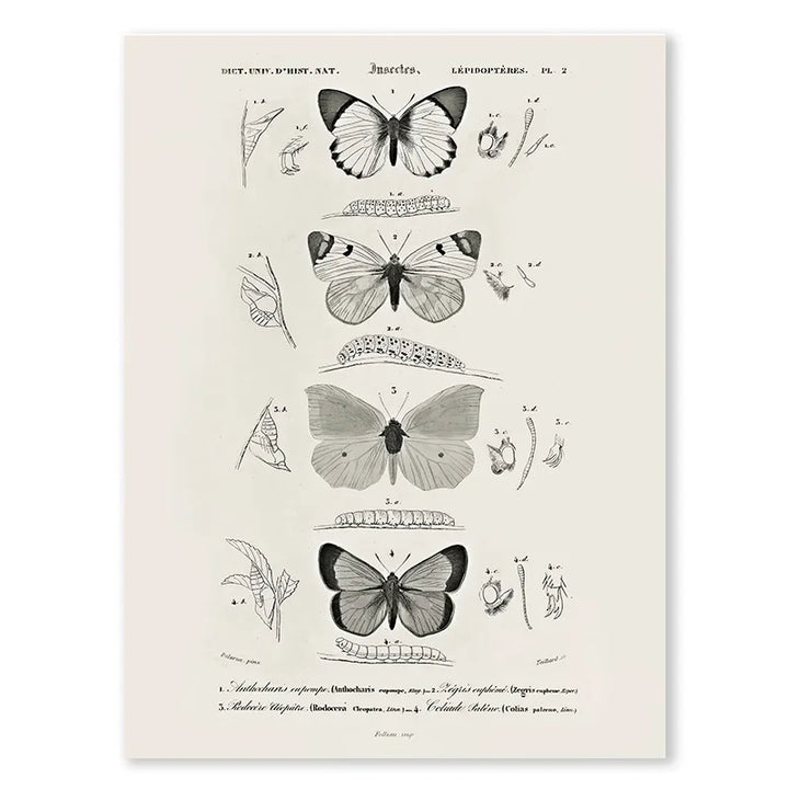 50050908455249|50050908782929|50050908914001|50050909110609|50050909241681|50050909569361|50050909700433