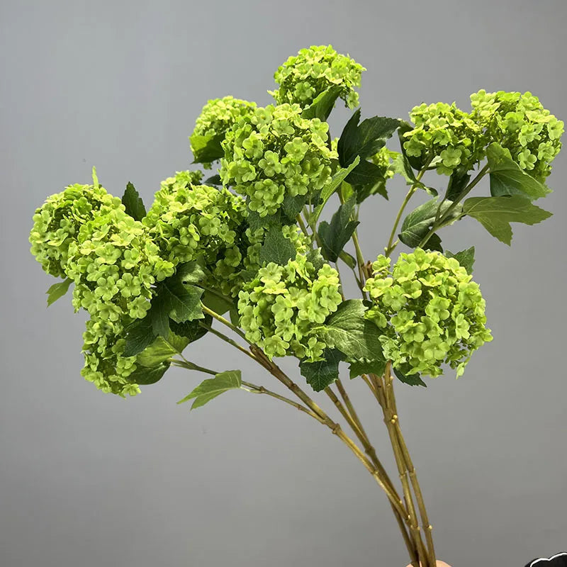 Viburnum Snowball Spray