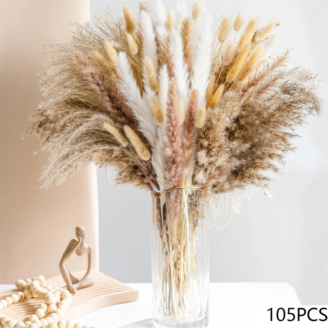 Bunny Tail Pampas Bundle