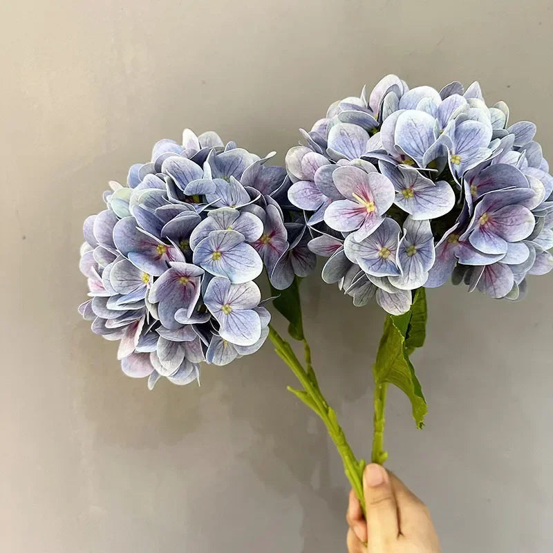 Touch Hydrangea Stem