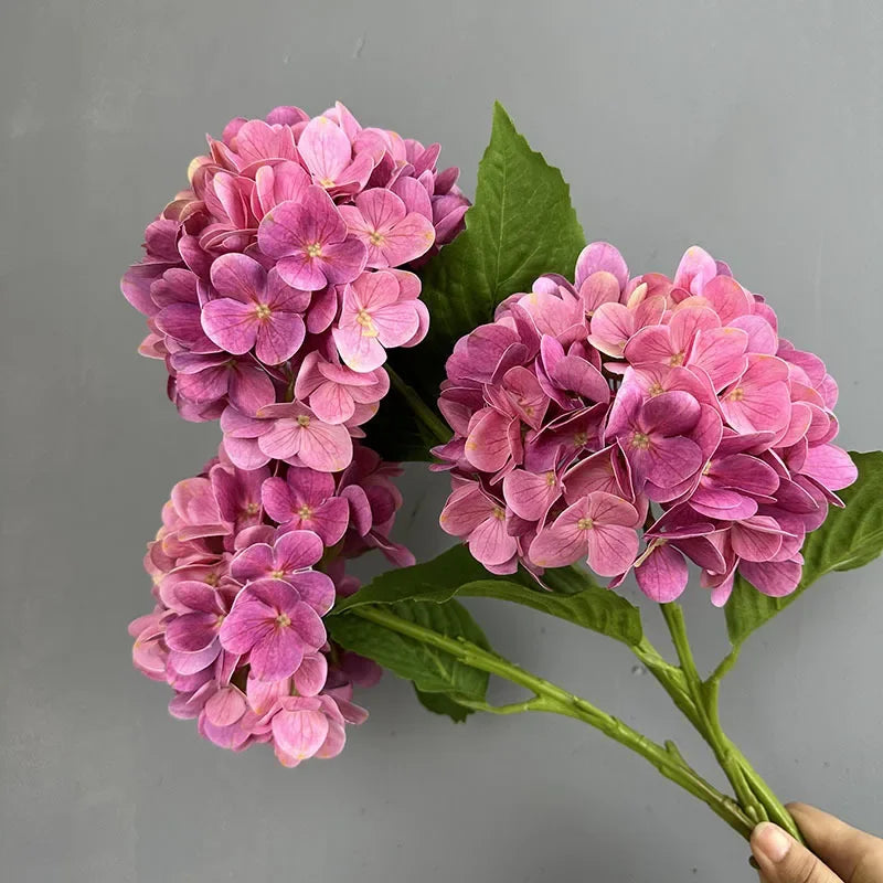 Touch Hydrangea Stem