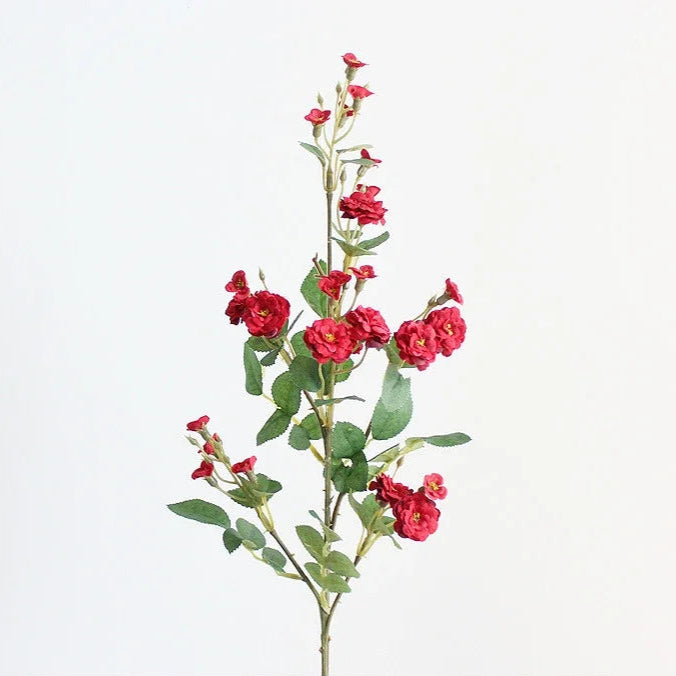 Meadow Rose Spray