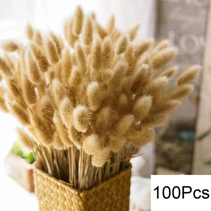 Bunny Tail Pampas Bundle