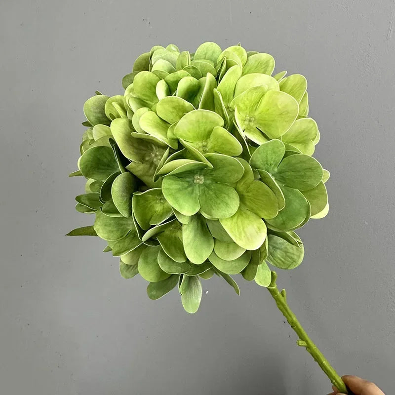 Touch Hydrangea Stem