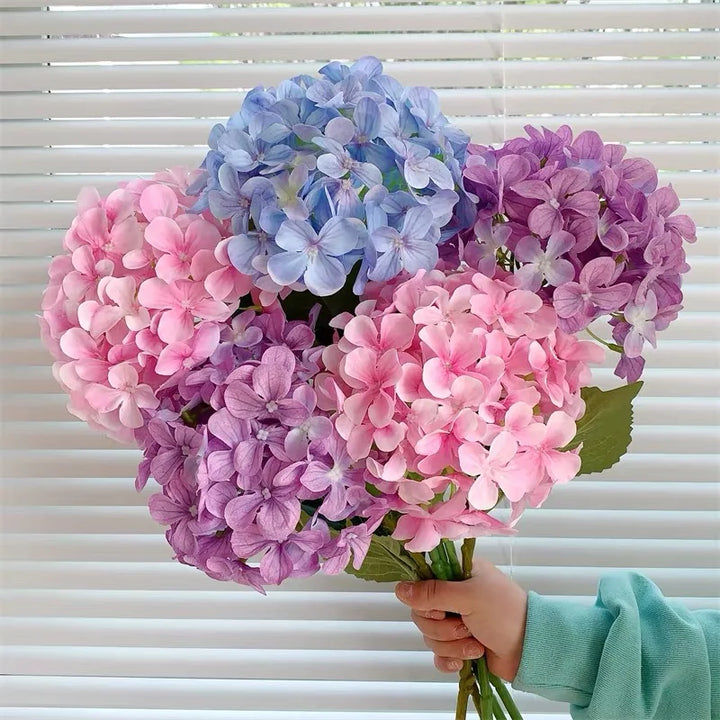 Touch Hydrangea Stem