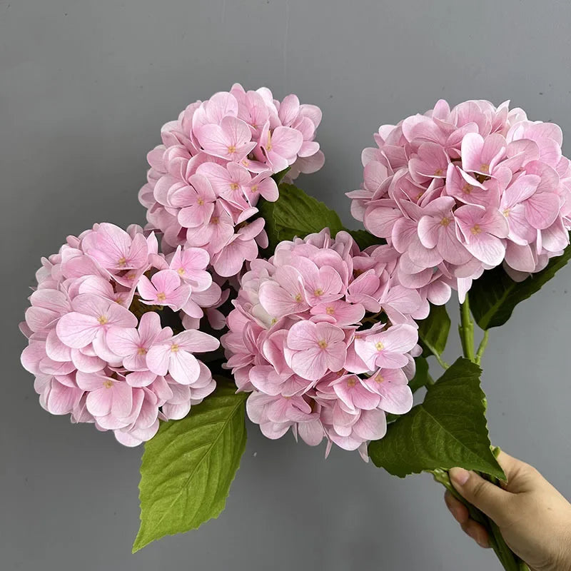 Touch Hydrangea Stem