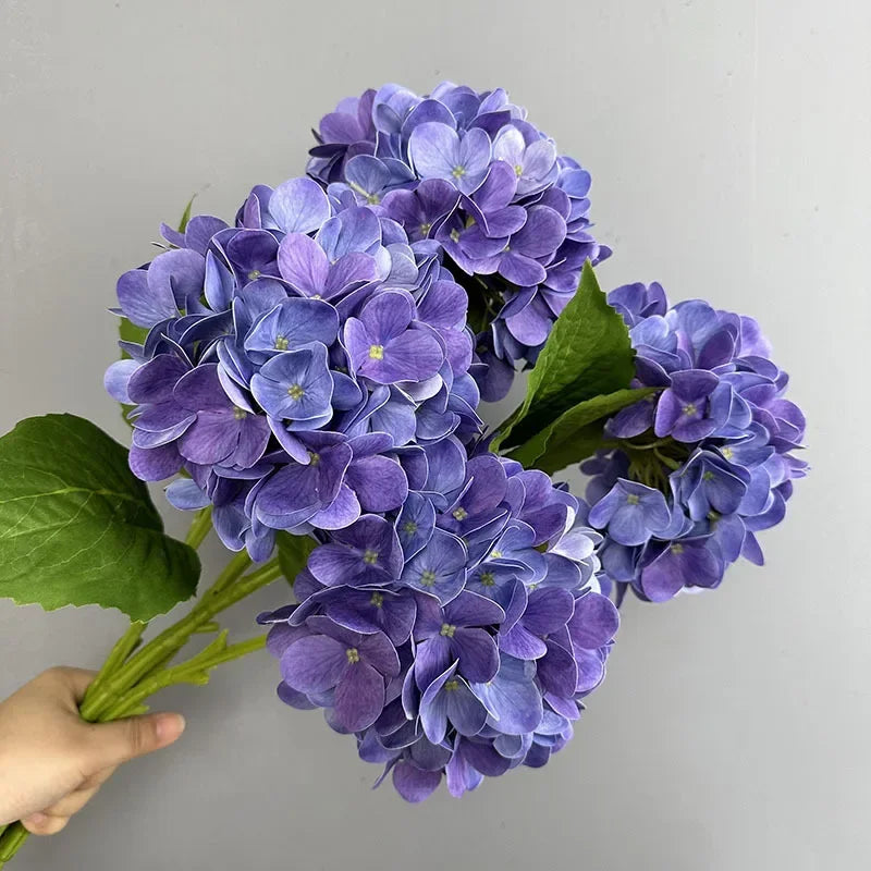 Touch Hydrangea Stem